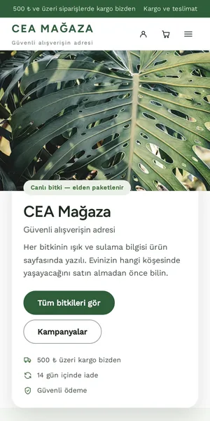 Fide — Bitki ve Çiçek temasının mobil görünümü